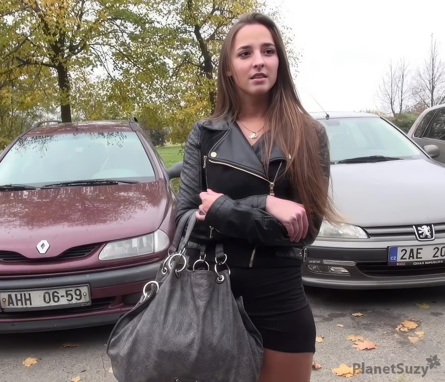 Amirah Adara - Slim Brunette Gets Picked Up and Fucked in a Van FullHD 1080p