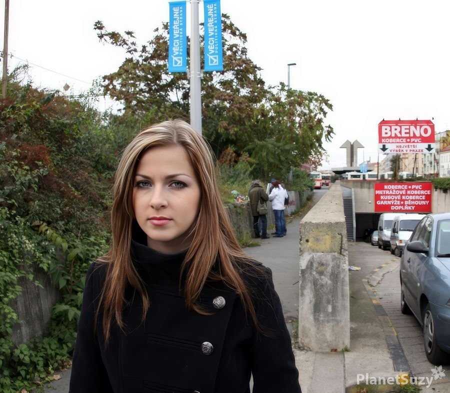 Abigaile Johnson - Public Pickup And Fuck A Naughty Hottie SD 576p