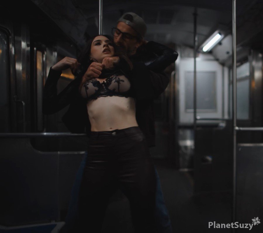 Brooke Tilli - Two Secret Agents Have Sex on the Subway FullHD 1080p
